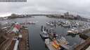 ./images/victoria/wharf/20250217/wharf20250217_132508M.jpg