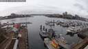 ./images/victoria/wharf/20250220/wharf20250220_115509M.jpg