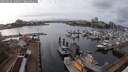 ./images/victoria/wharf/20250220/wharf20250220_140010M.jpg
