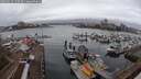 ./images/victoria/wharf/20250224/wharf20250224_150508M.jpg