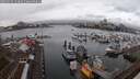 ./images/victoria/wharf/20250224/wharf20250224_154009M.jpg