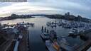 ./images/victoria/wharf/20250226/wharf20250226_175008M.jpg