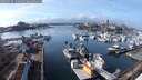 ./images/victoria/wharf/20250227/wharf20250227_134009M.jpg