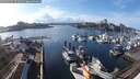 ./images/victoria/wharf/20250305/wharf20250305_151510M.jpg