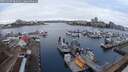 ./images/victoria/wharf/20250307/wharf20250307_083508M.jpg