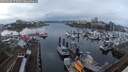 ./images/victoria/wharf/20250308/wharf20250308_173509M.jpg