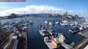 ./images/victoria/wharf/20250313/wharf20250313_143508M.jpg