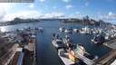 ./images/victoria/wharf/20250313/wharf20250313_160009M.jpg