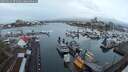./images/victoria/wharf/20250314/wharf20250314_074008M.jpg