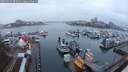 ./images/victoria/wharf/20250315/wharf20250315_075009M.jpg