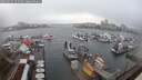 ./images/victoria/wharf/20250315/wharf20250315_151010M.jpg