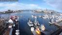 ./images/victoria/wharf/20250316/wharf20250316_105509M.jpg