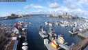 ./images/victoria/wharf/20250316/wharf20250316_121509M.jpg