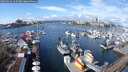 ./images/victoria/wharf/20250316/wharf20250316_122508M.jpg