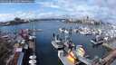 ./images/victoria/wharf/20250316/wharf20250316_130008M.jpg