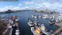 ./images/victoria/wharf/20250316/wharf20250316_131009M.jpg