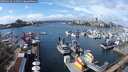 ./images/victoria/wharf/20250316/wharf20250316_131508M.jpg