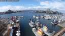 ./images/victoria/wharf/20250316/wharf20250316_132508M.jpg