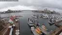 ./images/victoria/wharf/20250316/wharf20250316_144508M.jpg