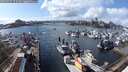 ./images/victoria/wharf/20250317/wharf20250317_152509M.jpg