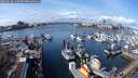 ./images/victoria/wharf/20250318/wharf20250318_123507M.jpg