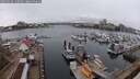 ./images/victoria/wharf/20250319/wharf20250319_110509M.jpg