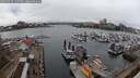 ./images/victoria/wharf/20250319/wharf20250319_135509M.jpg