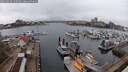 ./images/victoria/wharf/20250319/wharf20250319_145009M.jpg