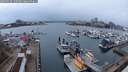 ./images/victoria/wharf/20250319/wharf20250319_190507M.jpg