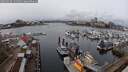 ./images/victoria/wharf/20250320/wharf20250320_131509M.jpg