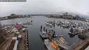 ./images/victoria/wharf/20250320/wharf20250320_164509M.jpg