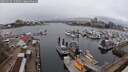 ./images/victoria/wharf/20250320/wharf20250320_172509M.jpg