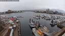 ./images/victoria/wharf/20250320/wharf20250320_173011M.jpg