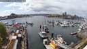 ./images/victoria/wharf/20250421/wharf20250421_144007M.jpg