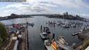 ./images/victoria/wharf/20250421/wharf20250421_145507M.jpg