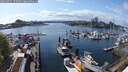 ./images/victoria/wharf/20250421/wharf20250421_155009M.jpg