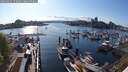 ./images/victoria/wharf/20250422/wharf20250422_172009M.jpg
