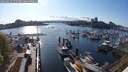 ./images/victoria/wharf/20250422/wharf20250422_172508M.jpg