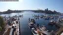 ./images/victoria/wharf/20250423/wharf20250423_171509M.jpg
