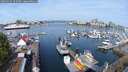 ./images/victoria/wharf/20250425/wharf20250425_103508M.jpg