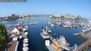 ./images/victoria/wharf/20250426/wharf20250426_110008M.jpg