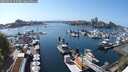 ./images/victoria/wharf/20250426/wharf20250426_153508M.jpg