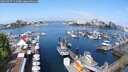 ./images/victoria/wharf/20250427/wharf20250427_111008M.jpg