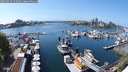 ./images/victoria/wharf/20250427/wharf20250427_143009M.jpg