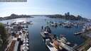 ./images/victoria/wharf/20250427/wharf20250427_165009M.jpg