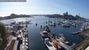 ./images/victoria/wharf/20250427/wharf20250427_165508M.jpg