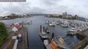 ./images/victoria/wharf/20250428/wharf20250428_085008M.jpg