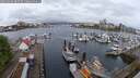 ./images/victoria/wharf/20250428/wharf20250428_085509M.jpg