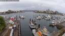 ./images/victoria/wharf/20250428/wharf20250428_113011M.jpg
