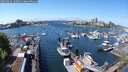 ./images/victoria/wharf/20250429/wharf20250429_130510M.jpg